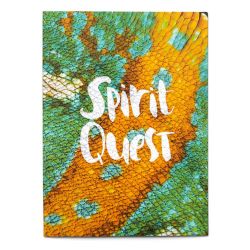 SPIRIT QUEST DVD 