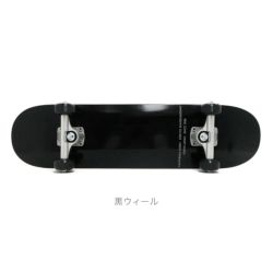 CALIFORNIA STREET カリフォルニアストリート コンプリートセット（スケートボード完成品）子供用 SIMPLE BLACK MINI 7.25 ブランク-5