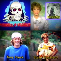 POWELL PERALTA DVD パウエルペラルタ THE SEARCH FOR ANIMAL CHIN SPECIAL EDITION（2枚組） 2