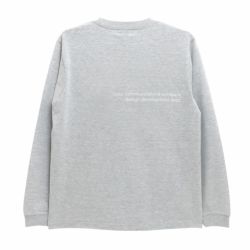 COLOR COMMUNICATIONS LONG SLEEVE カラーコミュニケーションズ ロングスリーブTシャツ CLR EMB GREY 4