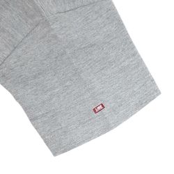 LIBE T-SHIRT ライブ Ｔシャツ BIG LOGO GREY 2