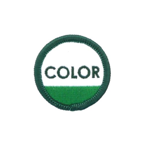 COLOR COMMUNICATIONS PATCH カラーコミュニケーションズ ワッペン CIRCLE INK GREEN