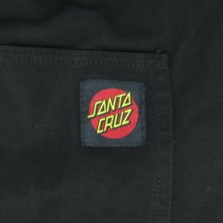 SANTA CRUZ PANTS サンタクルーズ パンツ ジーンズ LTD LOGO PANTS BLACK 6