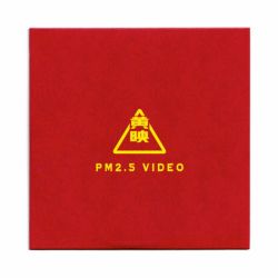 PM 2.5 DVD PARTICLE MIND スケートボード スケボー 01