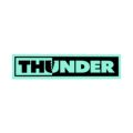 THUNDER STICKER サンダー ステッカー BOLTS MINT スケートボード スケボー