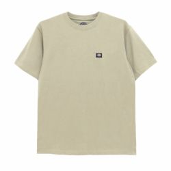 DICKIES SKATEBOARDING/ディッキーズスケートボーディング TWILL SKATE