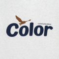 COLOR COMMUNICATIONS T-SHIRT カラーコミュニケーションズ Tシャツ WAWA OWL ASH スケートボード スケボー 3