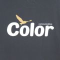 COLOR COMMUNICATIONS T-SHIRT カラーコミュニケーションズ Tシャツ WAWA OWL DENIM スケートボード スケボー 3