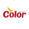  COLOR COMMUNICATIONS T-SHIRT カラーコミュニケーションズ Tシャツ WAWA OWL WHITE スケートボード スケボー 3