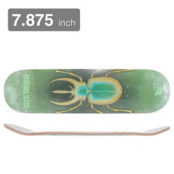 IFO DECK アイエフオーデッキ TAKASHI YAMAGUCHI INSECT 7.875 FIBERSTEPS スケートボード スケボー