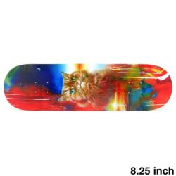 DORCUS DECK ドーカス デッキ TEAM FOREVER ZETT 8.25 スケートボード スケボー