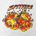 SPITFIRE T-SHIRT スピットファイヤー Tシャツ HELL HOUNDS 2 ASH スケートボード スケボー 3
