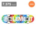 専用ケース付き ELEMENT エレメント コンプリートセット スケートボード完成品（子供用） BLAZIN TIEDYE 7.375 スケートボード スケボー