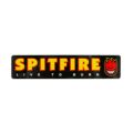 SPITFIRE STICKER スピットファイヤー ステッカー SPITFIRE LTB スケートボード スケボー
