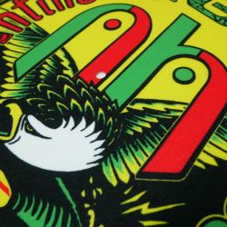 ANTIHERO AIR SLIP MAT アンチヒーロー スリップマット ANTI HERO x GREENSLEEVES SLIP MAT スケートボード スケボー 2