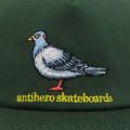 ANTIHERO CAP アンチヒーロー キャップ LIL PIGEON SNAPBACK FOREST GREEN/YELLOW スケートボード スケボー 4