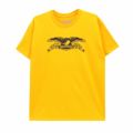 ANTIHERO T-SHIRT アンチヒーロー Tシャツ BASIC EAGLE GOLD/BLACK スケートボード スケボー 