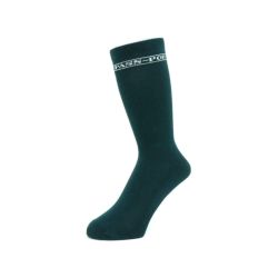 PASS~PORT SOCKS パスポート ソックス 靴下 HI SOCKS DARK GREEN スケートボード スケボー 1