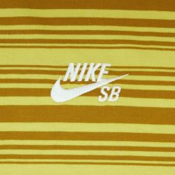 NIKE SB T-SHIRT ナイキSB Tシャツ MAX90 BRONZINE FQ3712-716 スケートボード スケボー 2