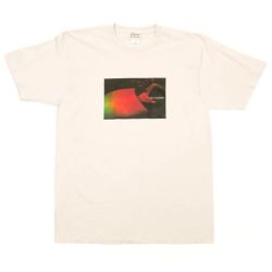 COLOR COMMUNICATIONS T-SHIRT カラーコミュニケーションズ Tシャツ REFLECTION TOWER PHOTO SALT スケートボード スケボー 