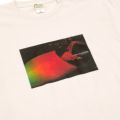 COLOR COMMUNICATIONS T-SHIRT カラーコミュニケーションズ Tシャツ REFLECTION TOWER PHOTO SALT スケートボード スケボー 1