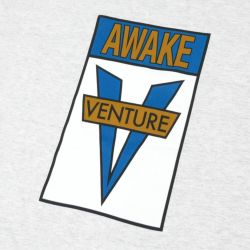 VENTURE T-SHIRT ベンチャー Tシャツ AWAKE ASH スケートボード スケボー 1