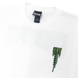 CREATURE T-SHIRT クリーチャー Tシャツ CATACOMB RELIC WHITE スケートボード スケボー 2