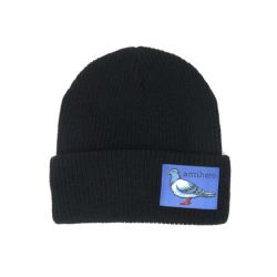 ANTIHERO KNITCAP アンチヒーロー ニットキャップ LIL PIGEON LABEL CUFF BEANIE BLACK/BLUE スケートボード スケボー 