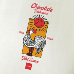 CHOCOLATE T-SHIRT チョコレート Tシャツ HABANERO HOT SAND スケートボード スケボー 3