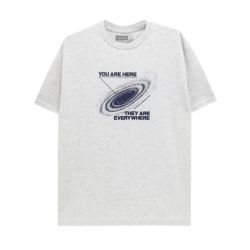  THEORIES T-SHIRT セオリーズ Tシャツ YOU ARE HERE GREY スケートボード スケボー 