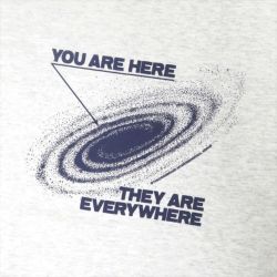  THEORIES T-SHIRT セオリーズ Tシャツ YOU ARE HERE GREY スケートボード スケボー 1