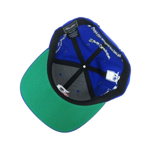 CHAMPS SNAPBACK ROYAL スケートボード スケボー 6