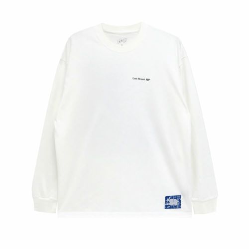 LAST RESORT AB LONG SLEEVE ラストリゾートエービー ロングスリーブTシャツ BRAIN FREEZE WHITE スケートボード スケボー 1