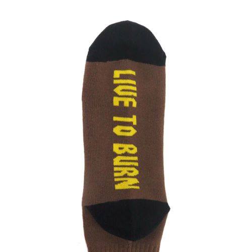 SPITFIRE SOCKS スピットファイヤー ソックス 靴下 BIGHEAD BROWN/GOLD スケートボード スケボー 5