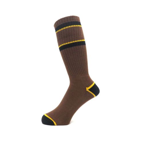 ANTIHERO SOCKS アンチヒーロー ソックス 靴下 BASIC PIGEON EMB BROWN/YELLOW/BLACK スケートボード スケボー 1