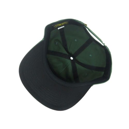 ANTIHERO CAP アンチヒーロー キャップ BASIC EAGLE SNAPBACK DARK GREEN/YELLOW スケートボード スケボー 3