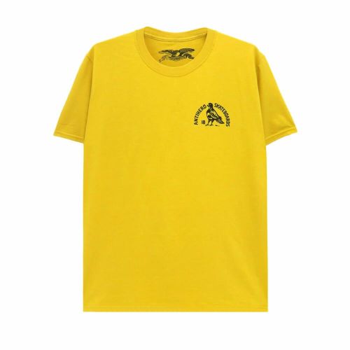 ANTIHERO T-SHIRT アンチヒーロー Tシャツ ROCK DOVE MUSTARD スケートボード スケボー 1