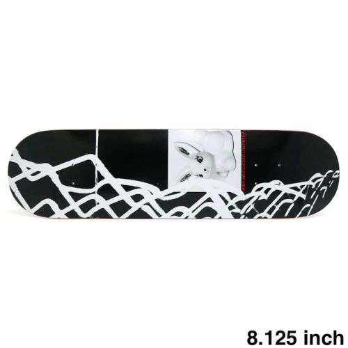 JACUZZI DECK ジャグジー デッキ JOHN DILO NO FEAR 8.125 EPOXY 7 スケートボード スケボー 1