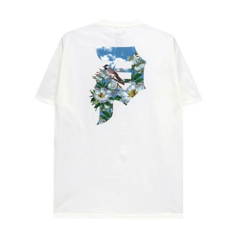 PRIMITIVE T-SHIRT プリミティブ Tシャツ SOLSTICE WHITE スケートボード スケボー 