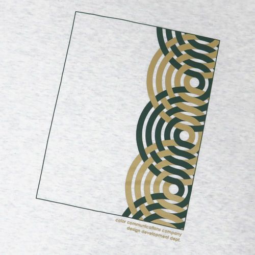 COLOR COMMUNICATIONS T-SHIRT カラーコミュニケーションズ Tシャツ RE-HALF STROKE FLAME 2011 ASH スケートボード スケボー 4