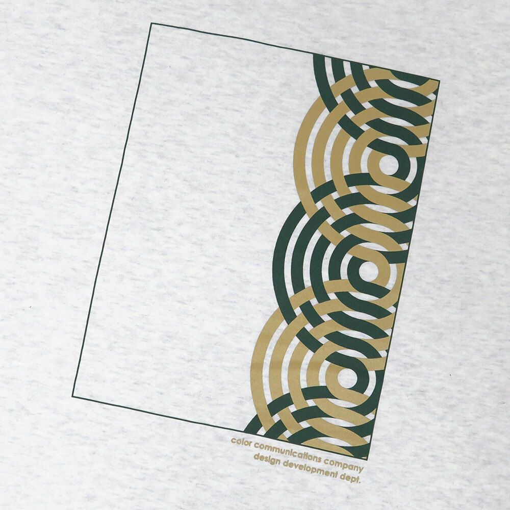 COLOR COMMUNICATIONS T-SHIRT カラーコミュニケーションズ Tシャツ RE-HALF STROKE FLAME 2011 ASH スケートボード スケボー 4