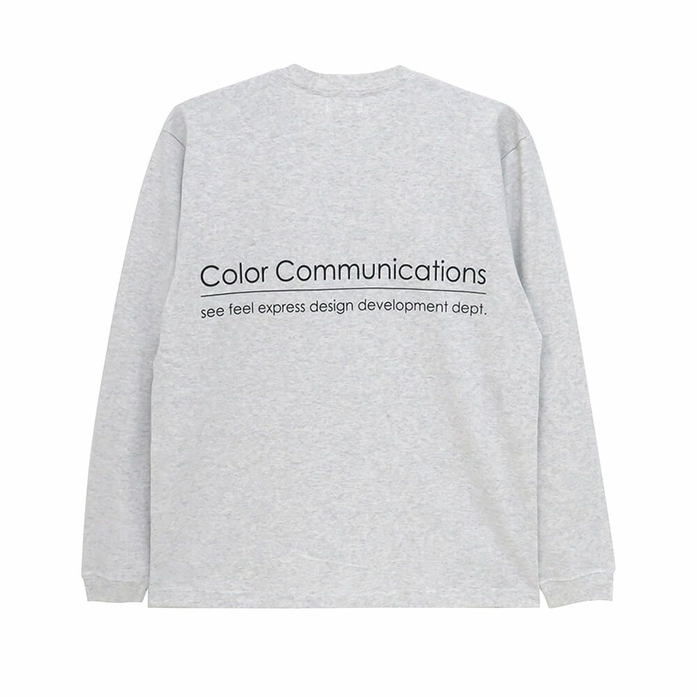 COLOR COMMUNICATIONS LONG SLEEVE カラーコミュニケーションズ ロングスリーブTシャツ RE-LETTER 2012 ASH スケートボード スケボー 