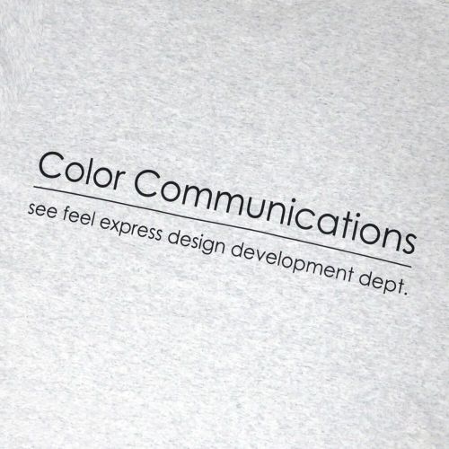 COLOR COMMUNICATIONS LONG SLEEVE カラーコミュニケーションズ ロングスリーブTシャツ RE-LETTER 2012 ASH スケートボード スケボー 3