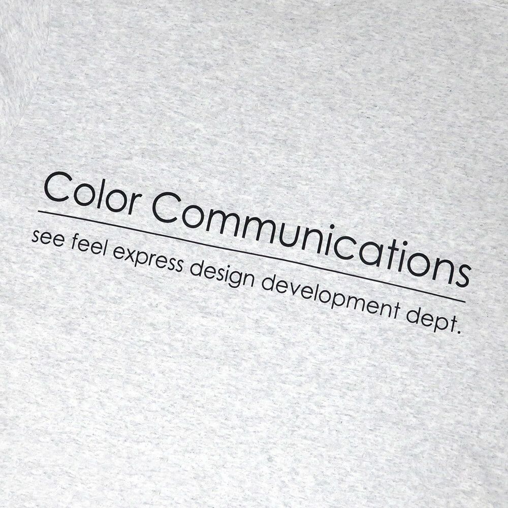 COLOR COMMUNICATIONS LONG SLEEVE カラーコミュニケーションズ ロングスリーブTシャツ RE-LETTER 2012 ASH スケートボード スケボー 3
