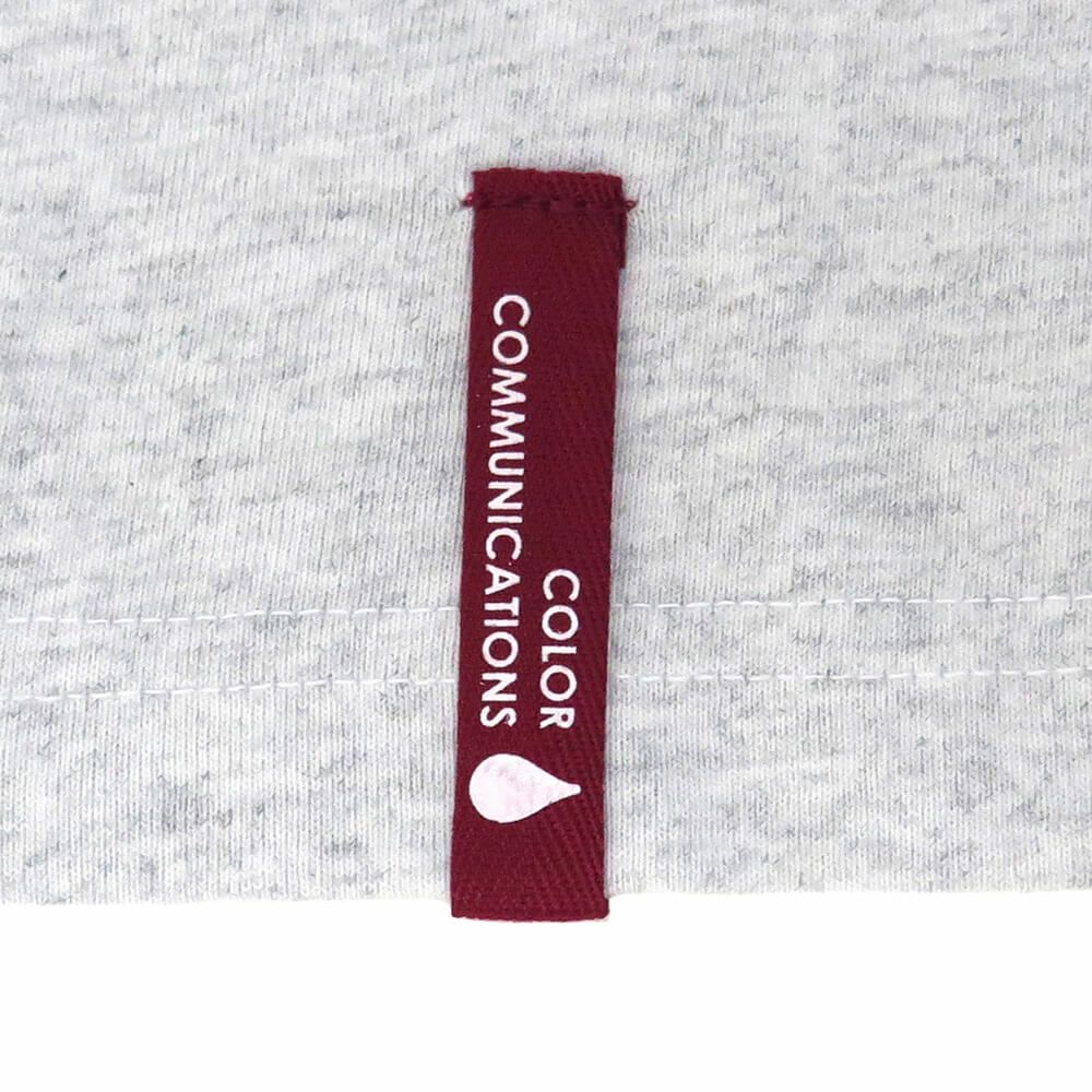 COLOR COMMUNICATIONS LONG SLEEVE カラーコミュニケーションズ ロングスリーブTシャツ RE-LETTER 2012 ASH スケートボード スケボー 4