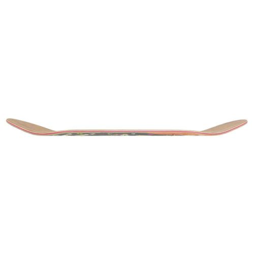SANTA CRUZ DECK サンタクルーズ デッキ STEVE ALBA FIREDANCE EGG 8.8 スケートボード スケボー 2