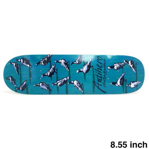 ANTIHERO DECK アンチヒーロー デッキ AUSTIN KANFOUSH DAWN OF THE PIGEON BLUE STAIN 8.55 YINZER SHAPE スケートボード スケボー 1