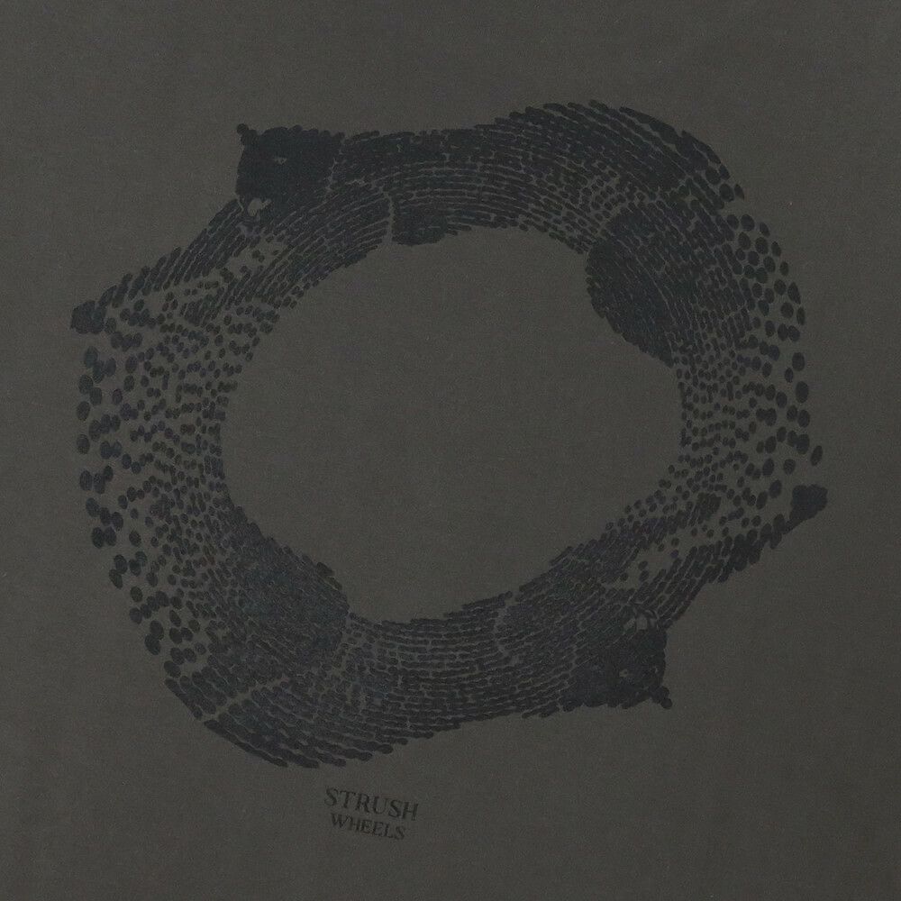 STRUSH T-SHIRT ストラッシュ Tシャツ PANTHER ART BY GURU KATO HAZY BLACK スケートボード スケボー 3