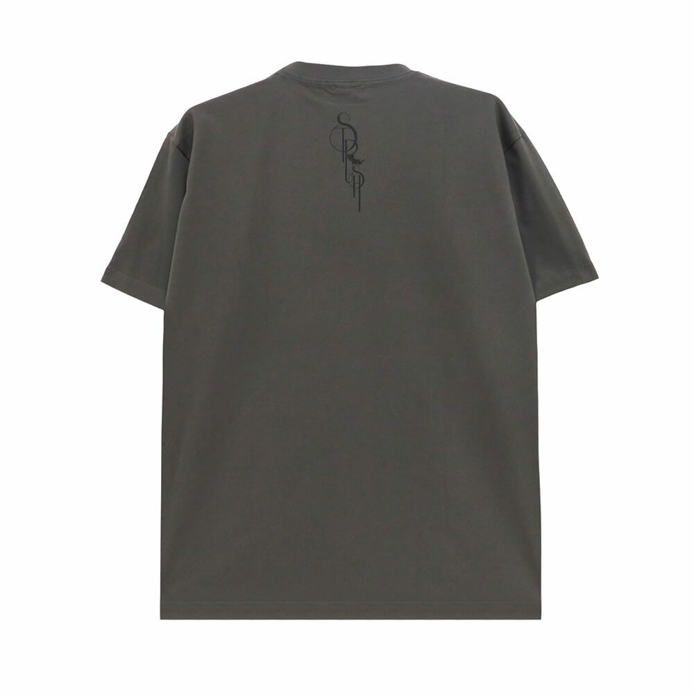 STRUSH T-SHIRT ストラッシュ Tシャツ SMOKE LOGO HAZY BLACK スケートボード スケボー 1