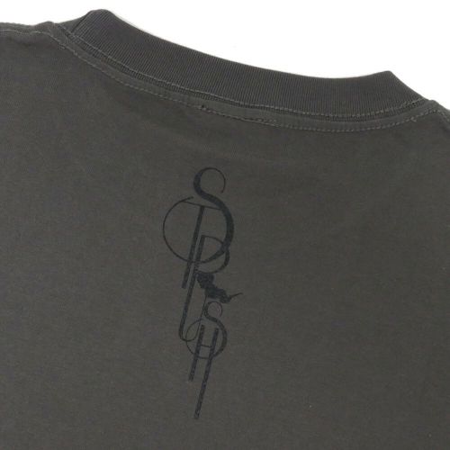 STRUSH T-SHIRT ストラッシュ Tシャツ SMOKE LOGO HAZY BLACK スケートボード スケボー 3